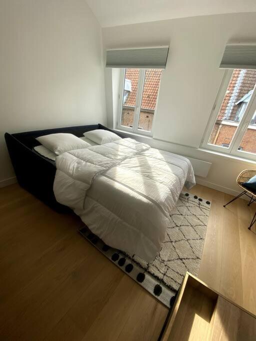 Appartement 50 M2 Avec Rooftop Lille Centre 외부 사진